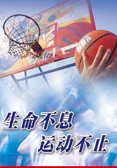 年的多伦多